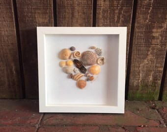 Coastal Seashell Shadowbox Wall Decor, Seashell Framed Art