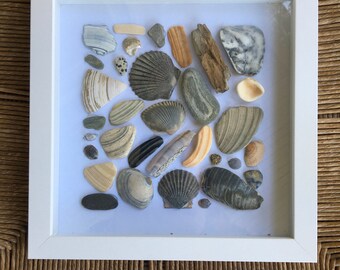 Coastal Seashell Shadowbox Wall Decor, Seashell Framed Art