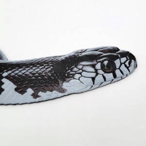 May include: Close-up of a black and white snake with a textured pattern. The snake's head is visible, with a black eye and a white stripe running along the side of its face.