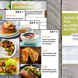Bewerkbare Canva-sjabloon voor beoefenaars, HAND-OUTS VOOR KLANT, Glutenvrije informatiebladen, 3-daagse maaltijdideeën, GEWELDIGE sjabloon voor starters
