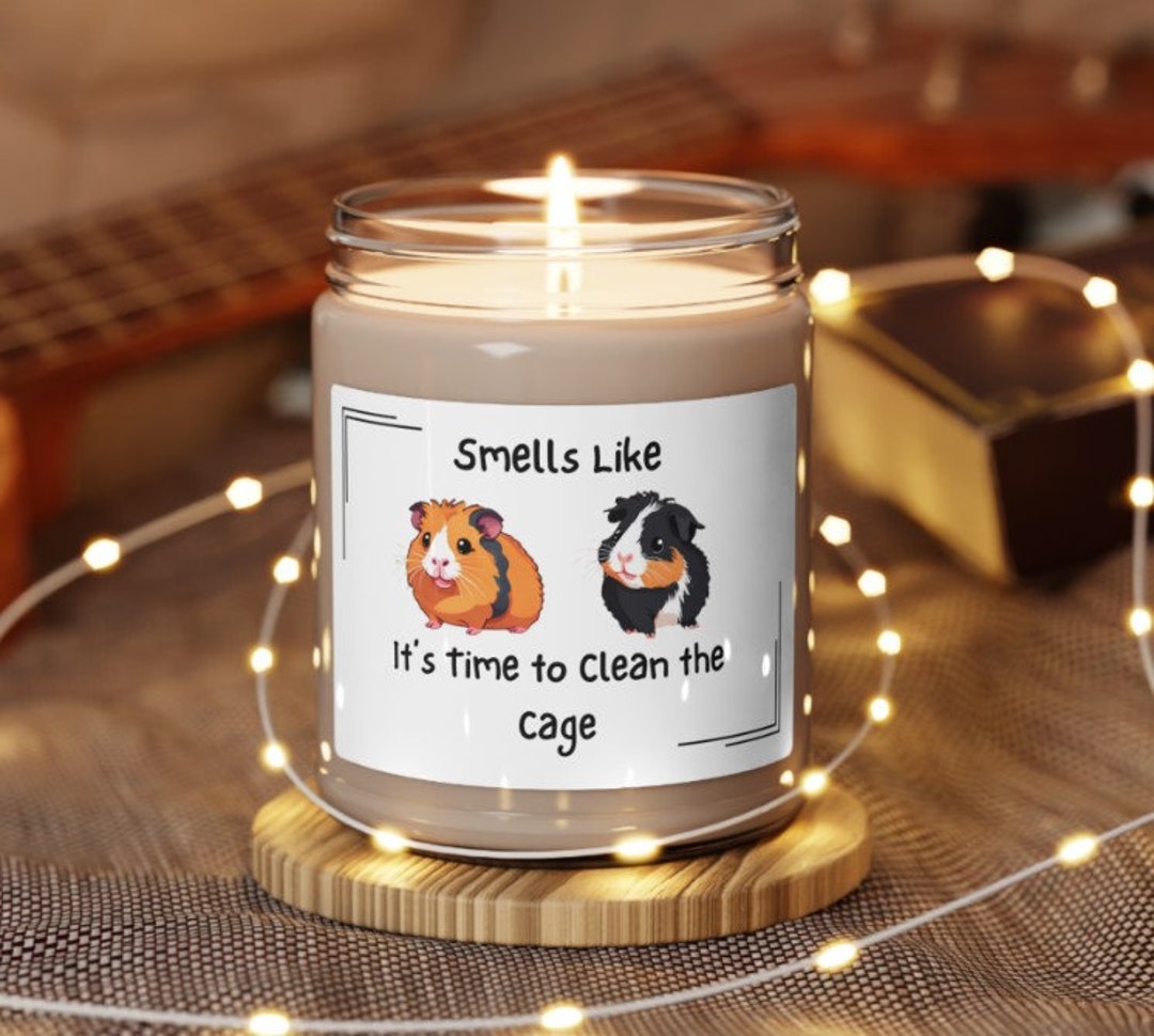 Funny Animal Lover Candle Guinea Pig Gifts Scented Soy 9oz Unique Pet