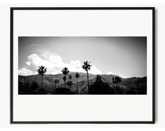 Puede incluir: Fotografía en blanco y negro de palmeras silueteada contra una cordillera con un cielo nublado.
