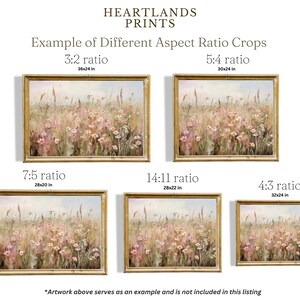 K&ouml;nnte beinhalten: Beispiel f&uuml;r verschiedene Seitenverh&auml;ltnis-Ausschnitte f&uuml;r Drucke. Das Bild zeigt ein Feld mit Wildblumen in verschiedenen Gr&ouml;&szlig;en, darunter 36x24 Zoll, 30x24 Zoll, 28x20 Zoll, 28x22 Zoll und 32x24 Zoll.