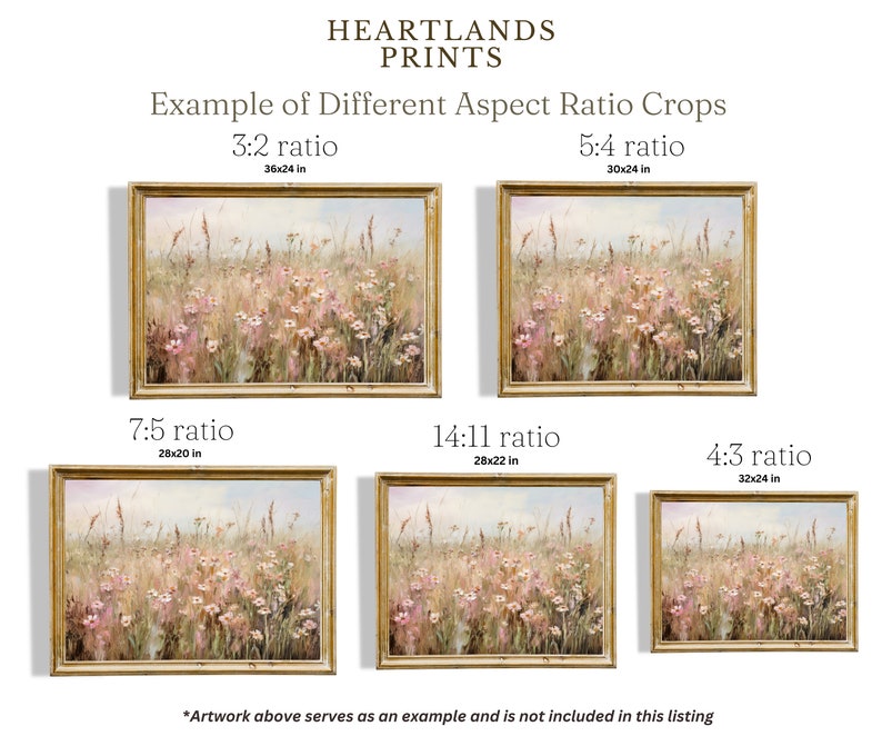 K&ouml;nnte beinhalten: Beispiel f&uuml;r verschiedene Seitenverh&auml;ltnis-Ausschnitte f&uuml;r Drucke. Das Bild zeigt ein Feld mit Wildblumen in verschiedenen Gr&ouml;&szlig;en, darunter 36x24 Zoll, 30x24 Zoll, 28x20 Zoll, 28x22 Zoll und 32x24 Zoll.