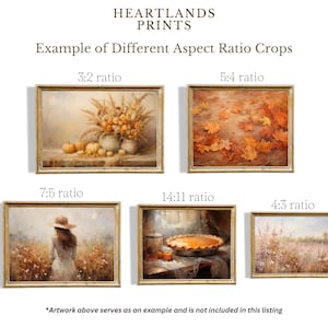 May include: Five framed images showing different aspect ratios for prints. The images are of a still life with pumpkins, a pile of autumn leaves, a woman in a field, a pie on a table, and a field of tall grass.
