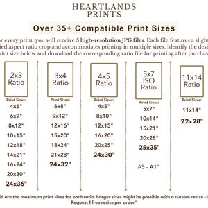 May include: Chart showing different print sizes and aspect ratios for digital prints. The chart is divided into five columns, each representing a different aspect ratio. The chart lists print sizes in inches, with the largest size for each ratio highlighted in bold.