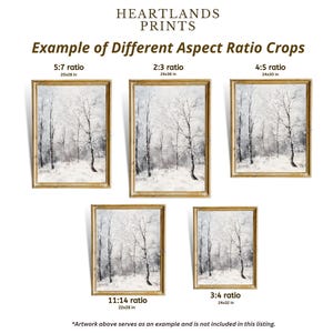May include: A graphic showing different aspect ratio crops for a snowy forest scene. The image shows five different crops of the same image, with the dimensions of each crop listed below. The text "Heartlands Prints" is at the top of the image.