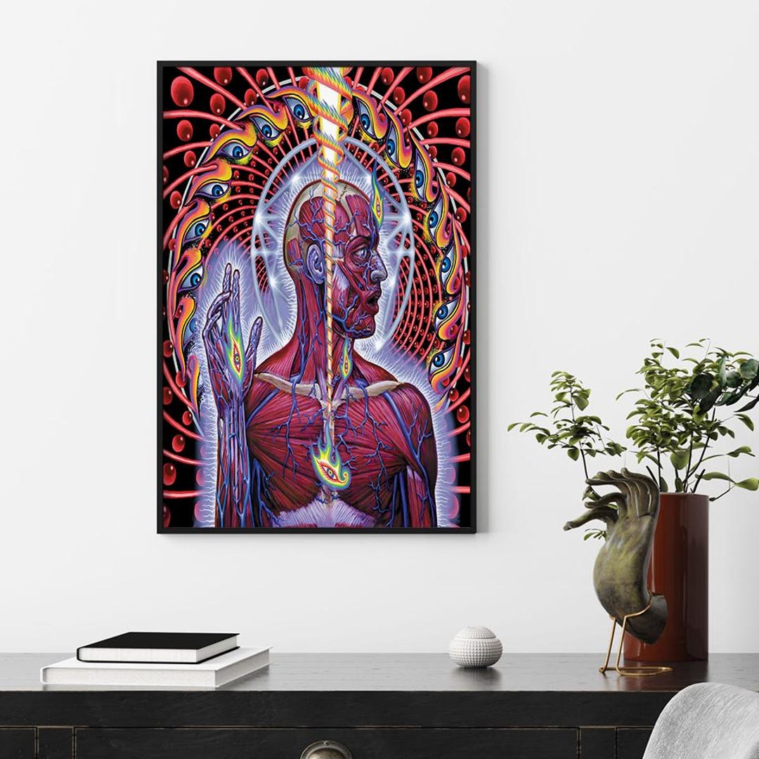 Tool Lateralus Album Cover Poster, High Quality Canvas Print, Home ...
