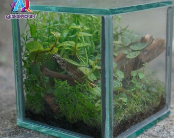 Nature's Artistry: Browse Our Exquisite Terrariums