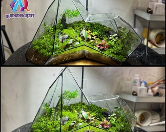 Bringing Nature Indoors: Shop Our Stunning Terrariums