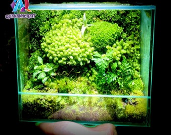 Glimpse of Serenity: Handcrafted Terrariums for Sale