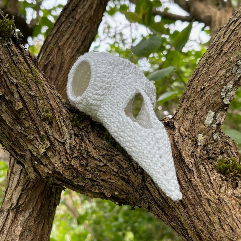 May include: A white crocheted bird skull hanging from a tree branch. The skull has a detailed design and is made with a soft, textured yarn.
