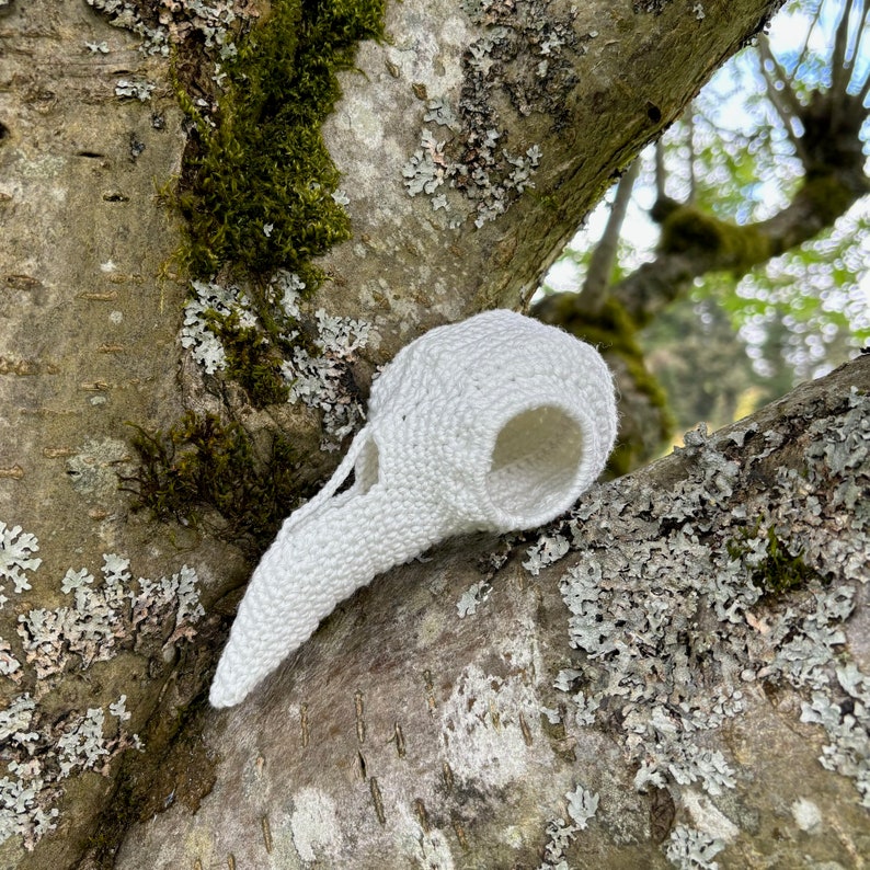 May include: White crocheted bird skull, resting on a tree branch covered in moss and lichen.