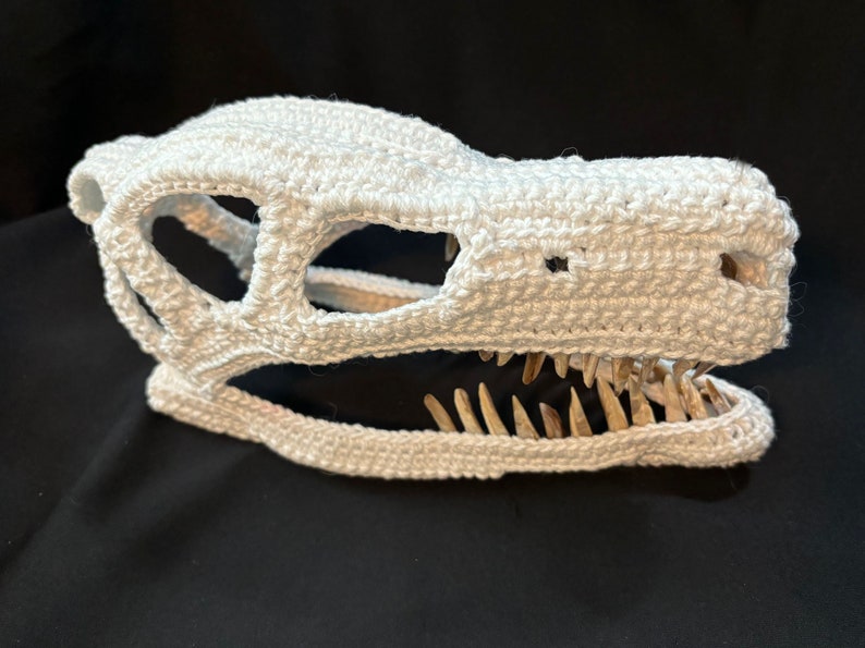 May include: White crocheted dinosaur skull with a row of teeth. The skull is crocheted in a detailed, realistic style.