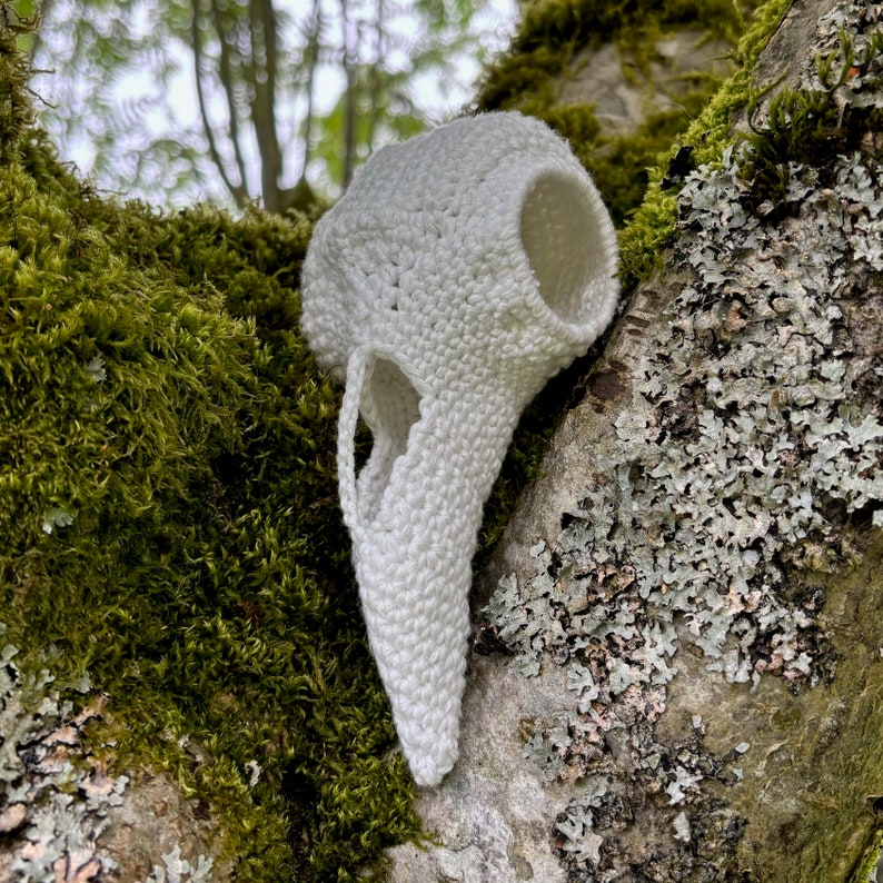 May include: White crocheted bird skull with a detailed beak, resting on a mossy tree branch.
