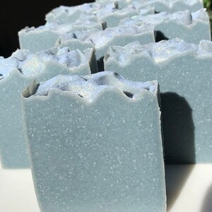 PARADISE REEF PUMICE Soap | Exfoliating Pumice | Tropical | Indigo Soap | Self Care Gift