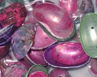 Sea Shells with holes, Blue-green and Purple-pink - 8.75oz Shell Beads