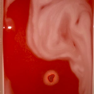 Large BLEEDING HEART Blood Red Bath Bombs, You Choose the Fragrance image 4