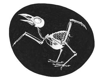 Crow Skeleton ORIGINAL Artwork Archival Black Ink Drawing on Hot Press Paper 8 x 8