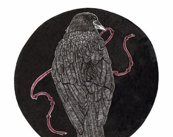 Crow with a Red String ORIGINAL artwork ink drawing on paper 8 x 8