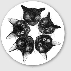 Kitten Star of Doom Vinyl Die-Cut Sticker Decal in Black and White 3 inch Circle