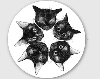 Kitten Star of Doom Vinyl Die-Cut Sticker Decal in Black and White 3 inch Circle