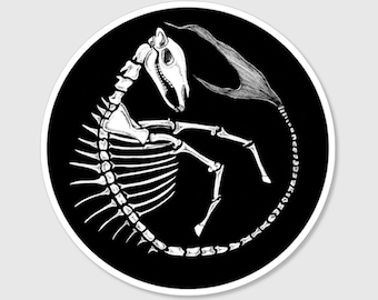 Kelpie Skeleton Vinyl Die Cut Decal Sticker
