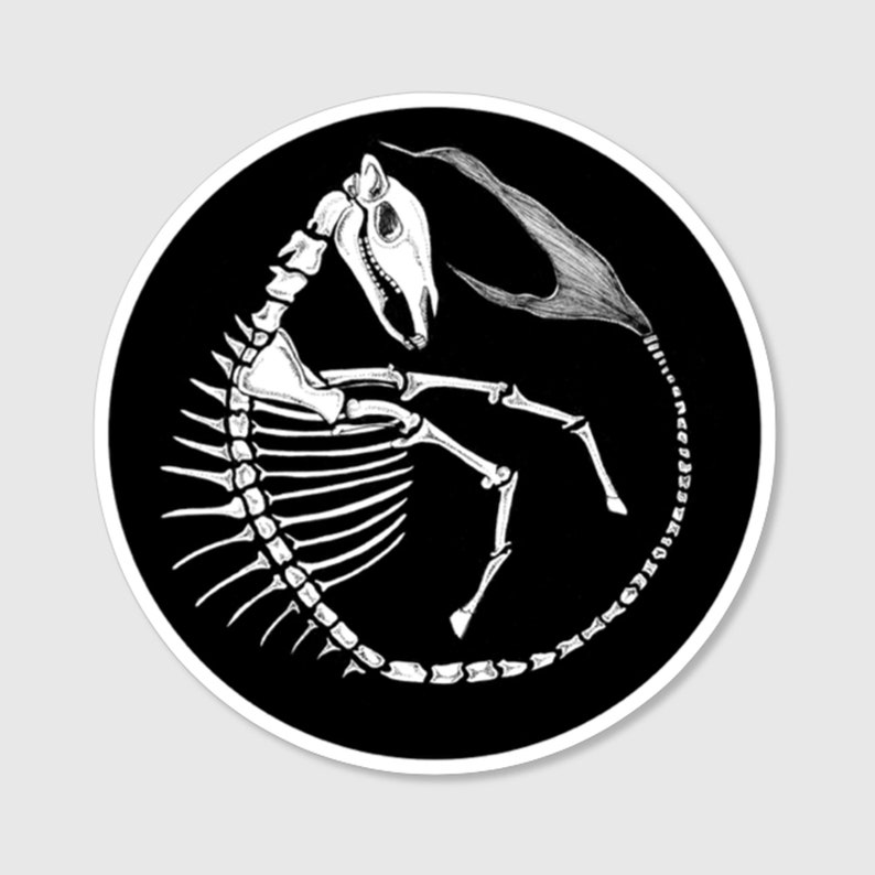 Kelpie Skeleton Vinyl Die Cut Decal Sticker imagem 1