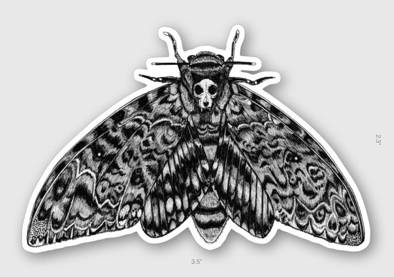 Sticker 2 Death's Head Hawkmoth Sinister Vinyl Decal TWO Pack