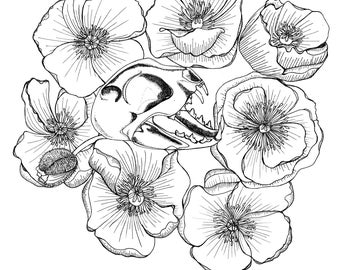 Cat Skull and Poppies Downloadable Adult Coloring Page A4