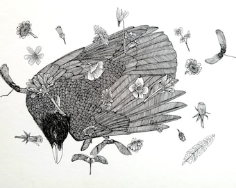 Dead Crow ORIGINAL Artwork Ink Drawing Archival Black Ink on Hot Press Paper 8.5 x 11.5