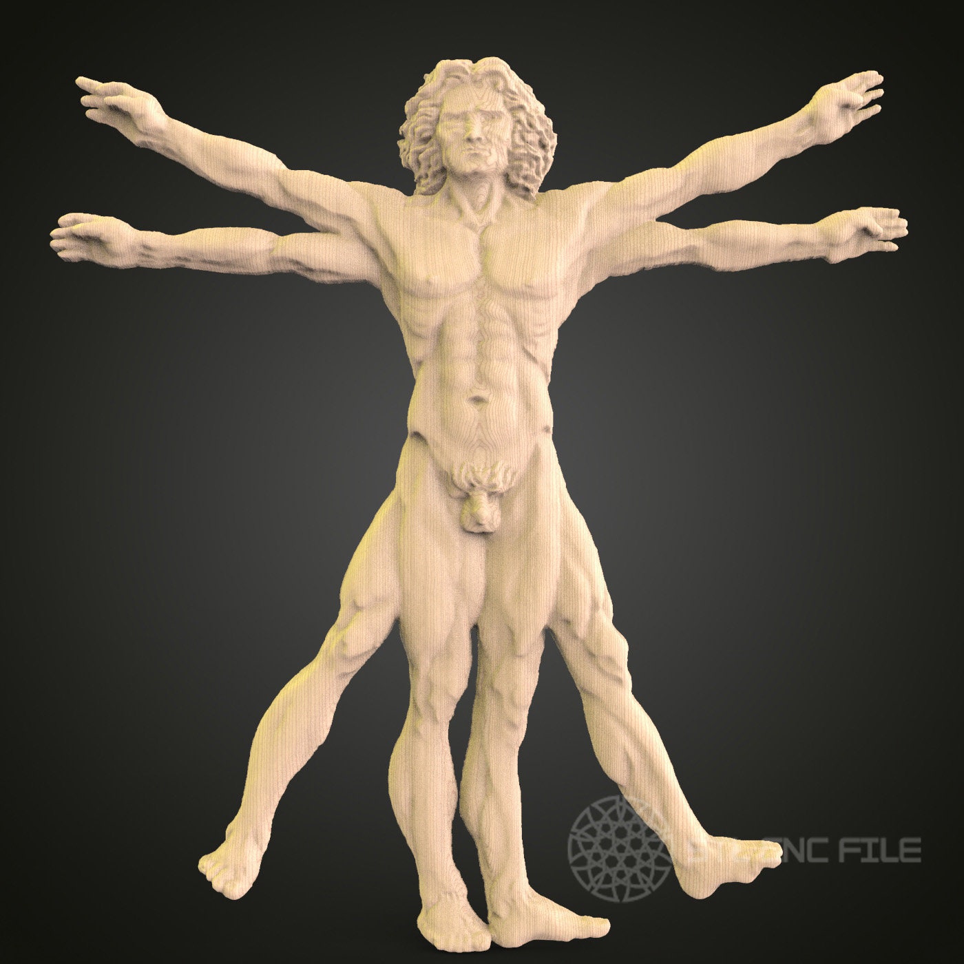 ウィトルウィウス的人体 3D モデル STL ファイル、CNC ルーター