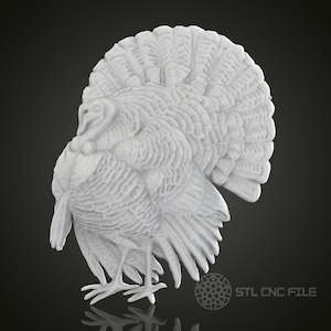 May include: A white 3D printed model of a turkey with its feathers spread out. The model is detailed and realistic, with a textured surface and a prominent wattle.