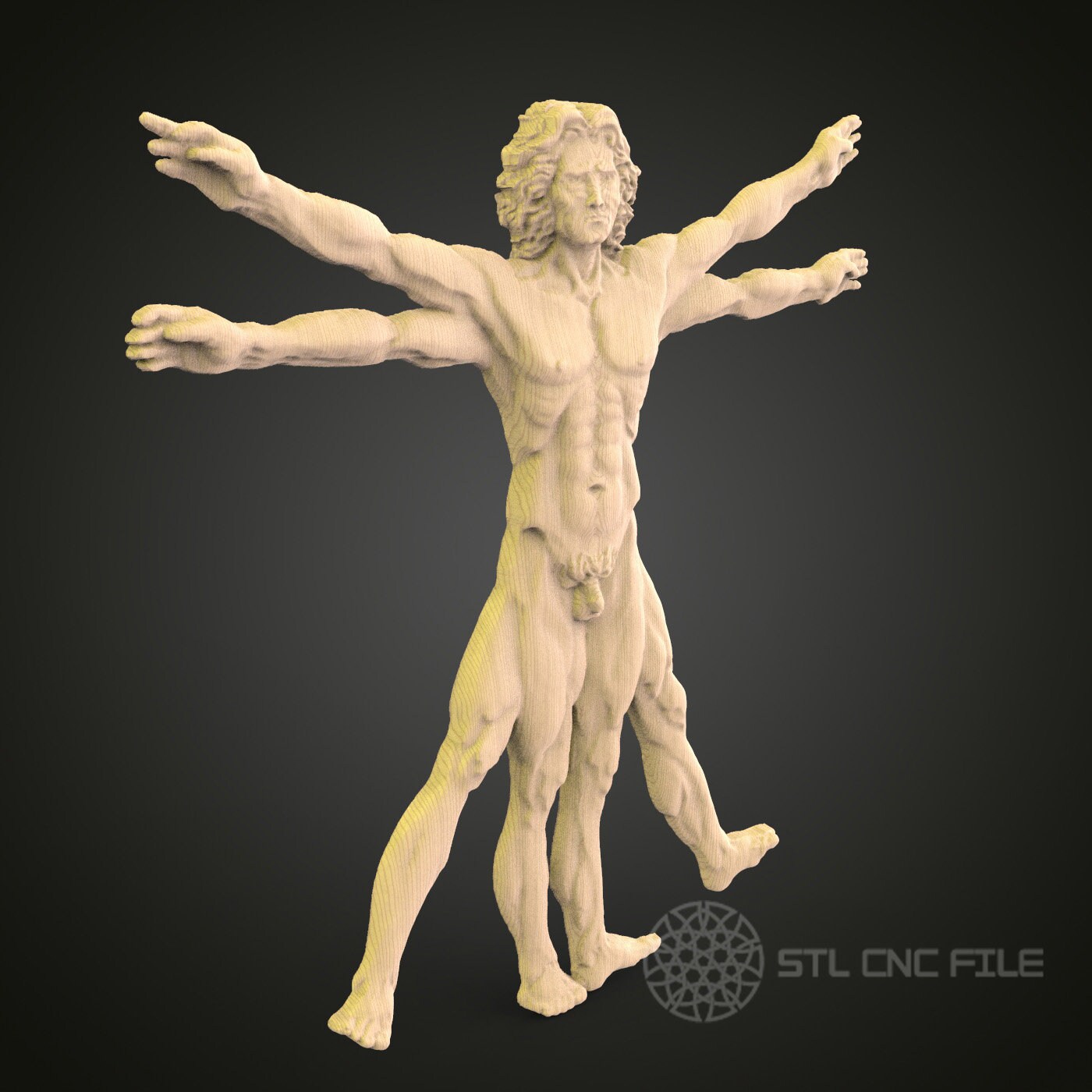 レオナルド・ダ・ヴィンチ　ウィトルウィウス的人体図 3D 模型 ウィトルウィウス的人体 3D モデル STL ファイル、CNC ルーター