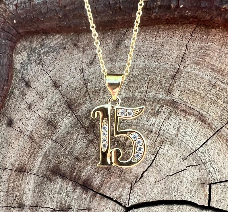Number Pendant Necklace With CZ Stones - 14K Gold Plated - Numbers 1-50 ...