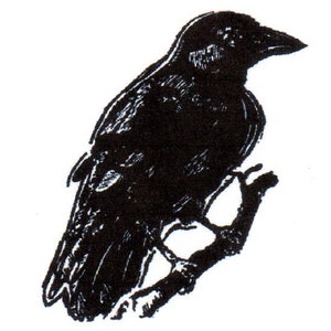 Crow on Branch-REGULAR Red Rubber Stamp-Original design 00623, halloween rubber stamp, crow rubber stamp