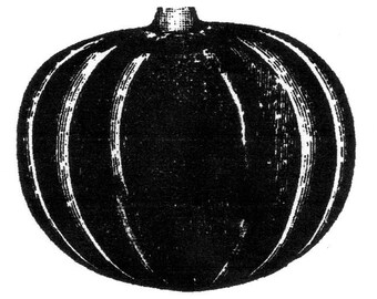 rustic pumpkin-LARGE-Red Rubber Stamp-Original design 01110, halloween stamp, fall stamp, thanksgiving rubber stamp, pumpkin rubber stamp