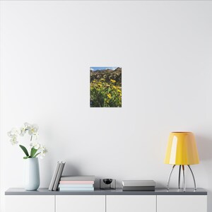 Rocky Mountains Matte Canvas Print, Stretched, 0.75&quot;, wildflowers, Colorful Colorado, Summer, Landscape Photography