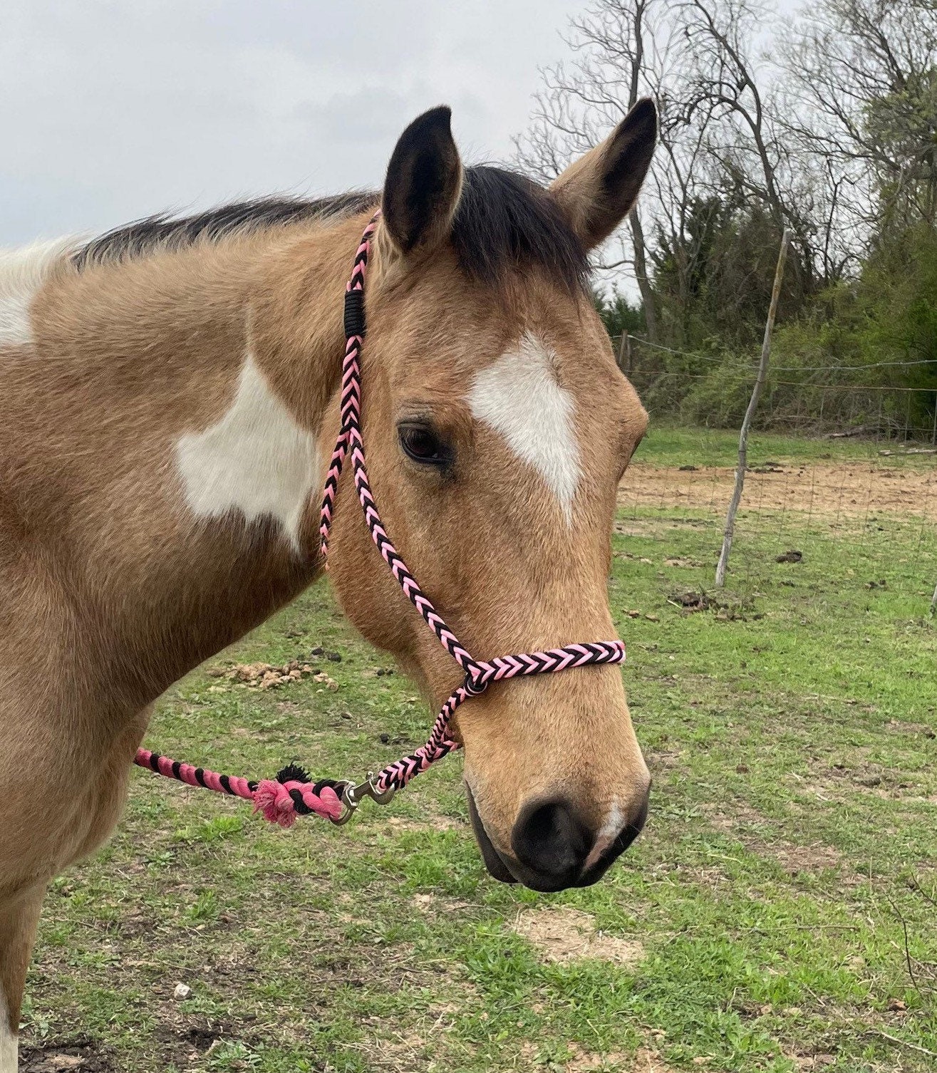 Horse lead rope made of paracord 10 foot lead rope pink Etsy