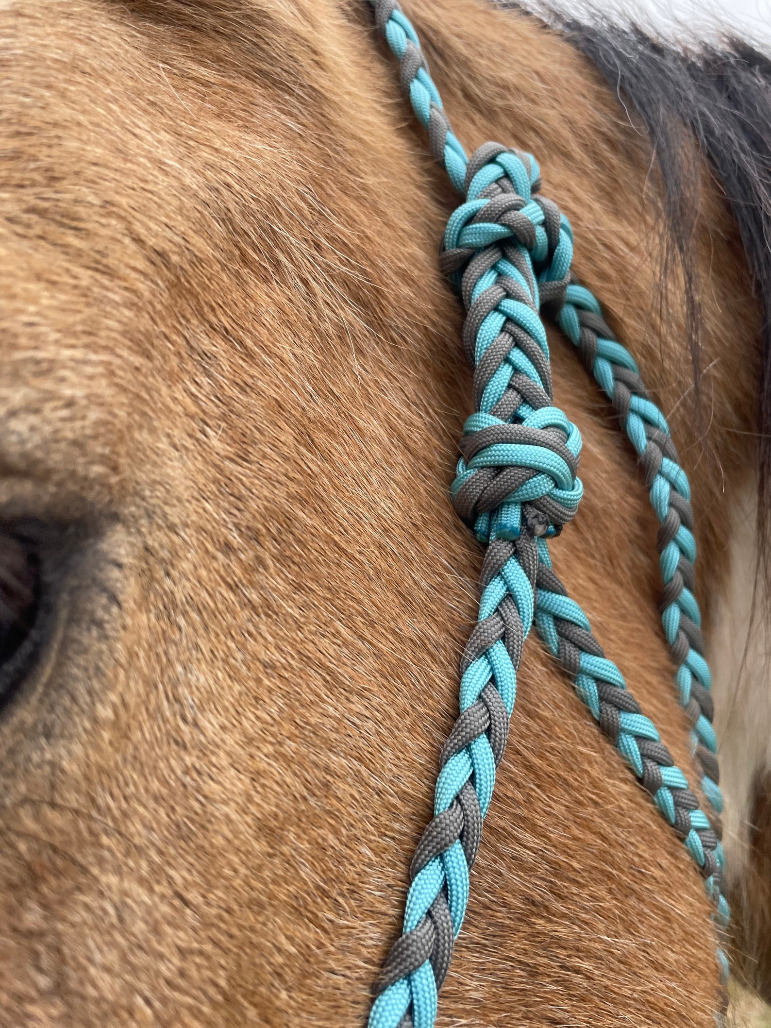 How to Make a Halter for a Horse Braiding Instructions PDF Etsy