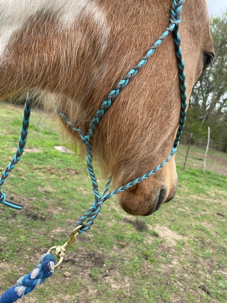 How to Make a Halter for a Horse Braiding Instructions PDF Etsy