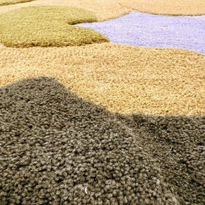 May include: A large, textured rug with a landscape design. The rug features various colors, including olive green, tan, and light purple, creating a soft, plush appearance. The design resembles a stylized landscape.