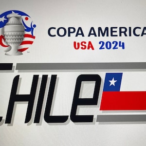 Copa America 2024 T-shirt