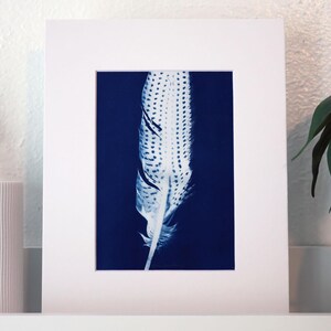 Może przedstawiać: Oprawiony wydruk cyjanotypii przedstawiający szczegółowe białe pióro na ciemnoniebieskim tle. Pióro ma wzór w kropki i jest wyśrodkowane w białym passe-partout. Grafika jest prezentowana na białej powierzchni, z rośliną w białej doniczce po lewej stronie.