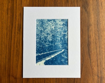 Original cyanotype wall art: Whatcom Falls park, Bellingham, Washington