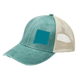 Distressed New Mexico Trucker Hat: State Pride Snapback