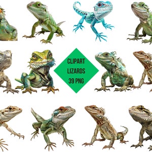 Clipart Lizards | Lizards PNG | Digital Print Lizards | Transparent Background | High Quality Instant Download