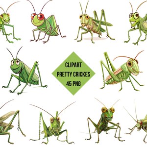 Puede incluir: Un conjunto de 9 ilustraciones de dibujos animados de grillos verdes en varias poses. Las ilustraciones están en un estilo de clipart digital y son perfectas para usar en proyectos digitales.