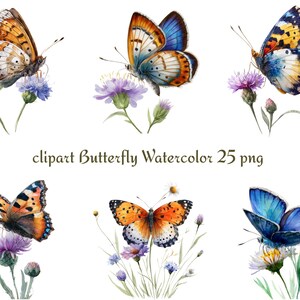 25 Aquarell Schmetterling Clipart Set, Sommergarten Blumen PNG Sublimation, transparenter Hintergrund, Instant Download, kommerzielle Nutzung