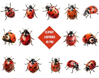Ladybugs Clipart | Red Shell PNG (Instant Download, Comercial Use, 49 PNG)